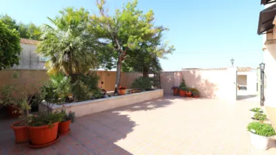 Rustic Finca in Albatera photo 29