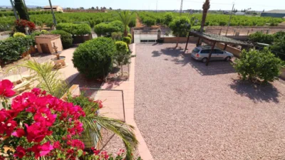 Finca rústica en venta en Albatera - Vista 2