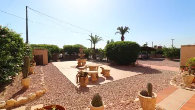 Rustic Finca in Albatera photo 35