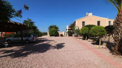 Rustic Finca in Albatera photo 36