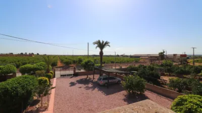 Rustic Finca in Albatera photo 43