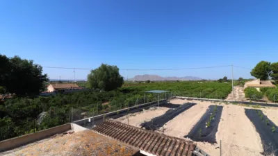 Rustic Finca in Albatera photo 44