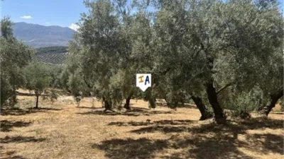 Rustic Finca in Rute photo 16