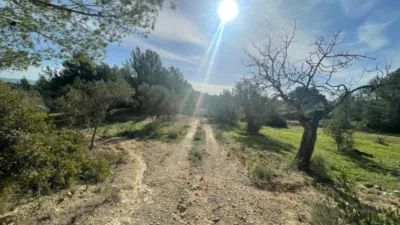 Rustic finca in Calvià photo 4
