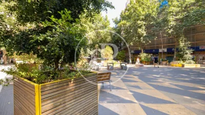 Apartment in El Poble-sec photo 17