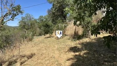Rustic Finca in Alcalá la Real photo 5