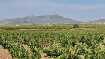 Terreno en venta en El Pinós - Pinoso - Vista 2