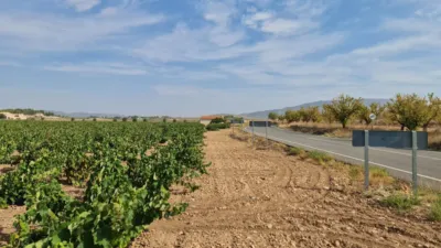 Terreno en venta en El Pinós - Pinoso - Vista 4