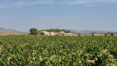 Terreno en venta en El Pinós - Pinoso - Más