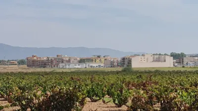 Terreno en venta en El Pinós - Pinoso - Vista 5