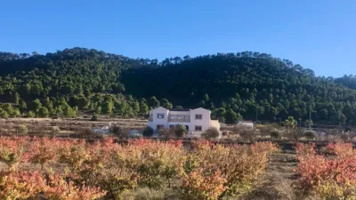 Chalet in El Pinós - Pinoso photo 44