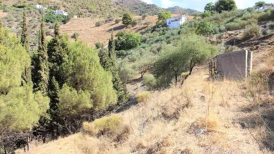 Chalet for sale in Frigiliana photo 43