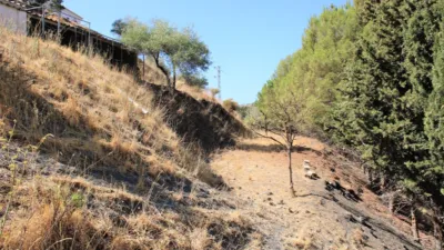 Chalet for sale in Frigiliana photo 44