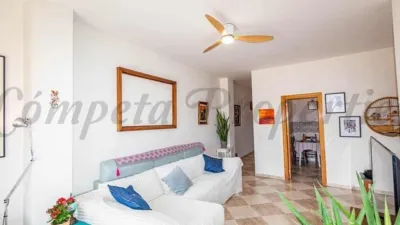 Apartment in Frigiliana photo 15