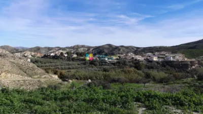 Rustic Finca in Arboleas photo 31