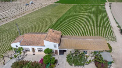 Rustic Finca in Orihuela Pedanías photo 15