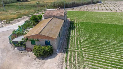 Rustic Finca in Orihuela Pedanías photo 17