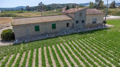Rustic Finca in Orihuela Pedanías photo 18