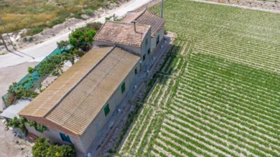 Rustic Finca in Orihuela Pedanías photo 20