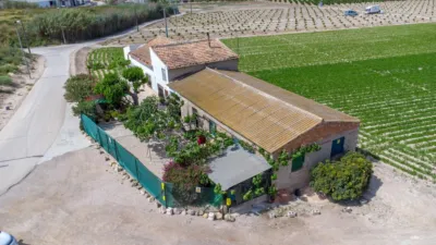 Rustic Finca in Orihuela Pedanías photo 21