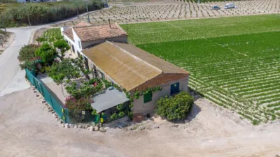 Rustic Finca in Orihuela Pedanías photo 22