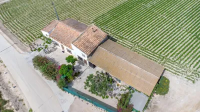 Rustic Finca in Orihuela Pedanías photo 23