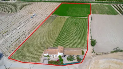 Rustic Finca in Orihuela Pedanías photo 25