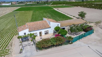 Rustic Finca in Orihuela Pedanías photo 2