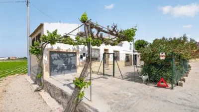Rustic Finca in Orihuela Pedanías photo 3