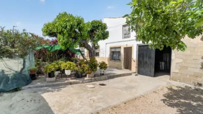 Rustic Finca in Orihuela Pedanías photo 7