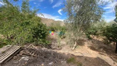 Rustic finca in Cantoria photo 11