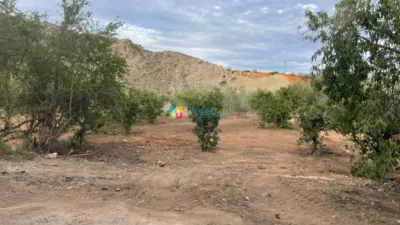 Rustic finca in Cantoria photo 12