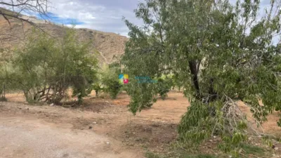 Rustic finca in Cantoria photo 13