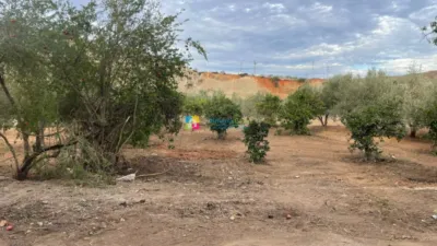 Rustic finca in Cantoria photo 14