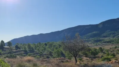 Terreno en venta en La Romana - Vista 4