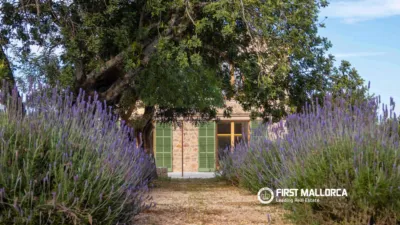Rustic Finca in Alaró photo 3