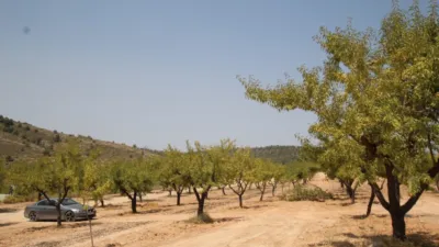 Villa in El Pinós - Pinoso photo 10