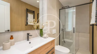 Apartment in Goya photo 13