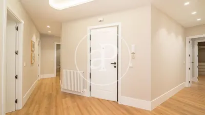 Apartment in Goya photo 18