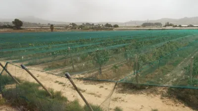 Terreno en venta en Monforte del Cid - View 3
