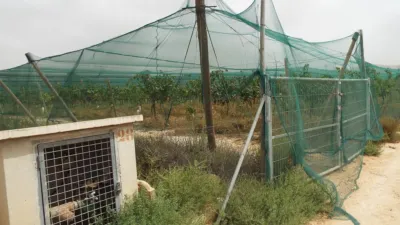 Terreno en venta en Monforte del Cid - View 5