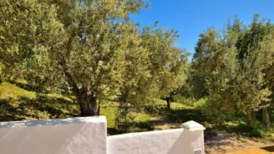 Rustic finca in Zahara de la Sierra photo 26