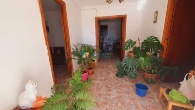 Rustic Finca in Taberno photo 5