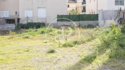 House in Ca'n Picafort photo 10