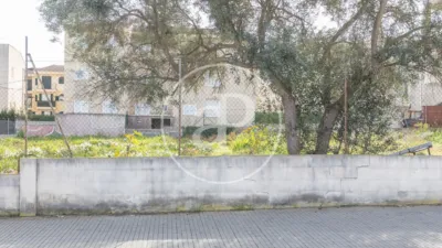 House in Ca'n Picafort photo 12