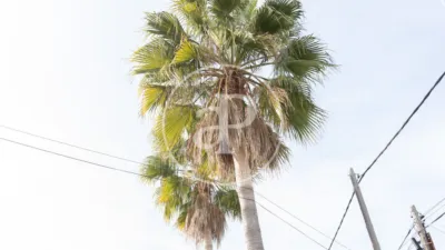 House in Ca'n Picafort photo 17