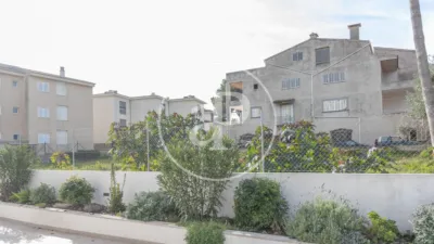 House in Ca'n Picafort photo 18