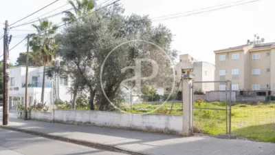 House in Ca'n Picafort photo 3