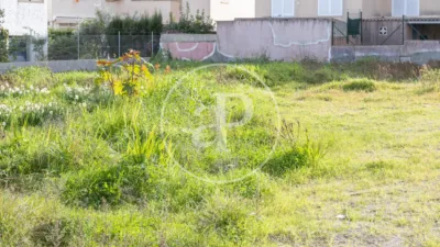 House in Ca'n Picafort photo 8