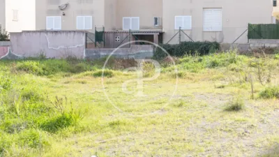 House in Ca'n Picafort photo 9